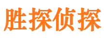 恒山市私人调查